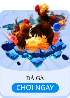 Đá gà 123b
